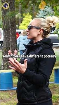 Building a Strong Bond With Your Dog Using ABA Principles | Understanding Reinforcement & Connection