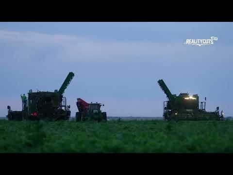 US Crops Harvested: Pumpkins, Almonds, Tomatoes, Cranberries, Apples