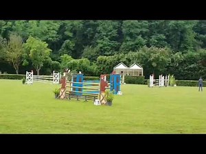 Cavallo in vendita - Vendesi Cavalla - equirodi.it