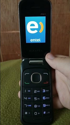Alcatel 1030a (Entel) Startup and Shutdown