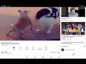 Pee Pee Poo Poo Check 10 hours