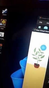 How to make a win11 VM on VirtualBox