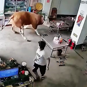 3.5M views · 10K reactions | Funny moments captured on video | Sweden Art & Architecture | Facebook