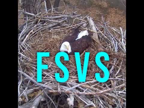 Xcel Energy Fort St. Vrain Eagles (side view)