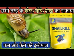 Snailkill pesticide, How to control snail and slugs, Metaldehyde pesticide