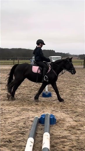 Girl like us!🤩🙏🏼 #horse #equestrian #riding #fypシ゚viral #reltable #cute #canter