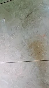 1.1K views · 26 reactions | Wall installation #installation #Tile #interiordesign | RAS Interior Designer | Facebook