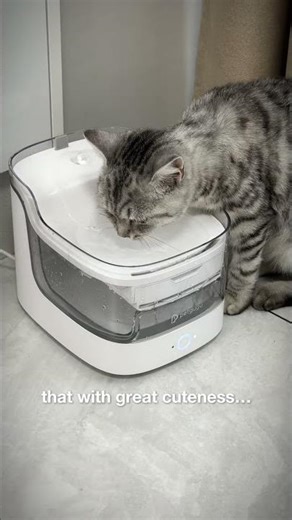 Pet care with no doubt—Petgugu#petgugu #shorts #smarthome #petcare #petsupplies #catmemes #viral