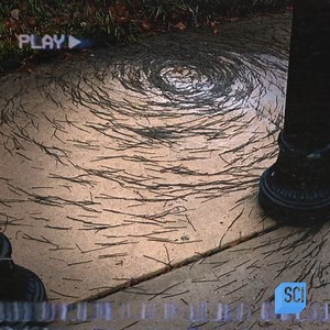 56K views · 261 reactions | What might this worm formation suggest about the insects' behavior? 缾 #StrangeEvidence starts now on Science Channel! | Science Channel | Facebook