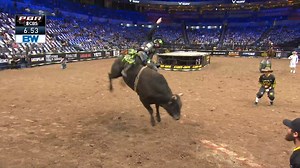 17K views · 1.2K reactions | When the bulls come from D&H Cattle Co. you know they are going to be RANK! From World No. 1 bull Chiseled to up incoming young bovines like Juju, the D&H Cattle pen is one of the best. Relive their best outs from OKC ➡️ | PBR | Facebook
