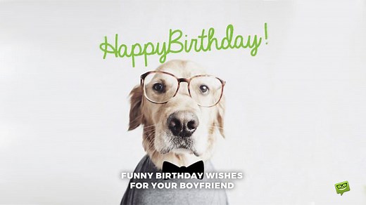 50  Funny Birthday Wishes That Will Make Your Boyfriend Laugh on his Special Day