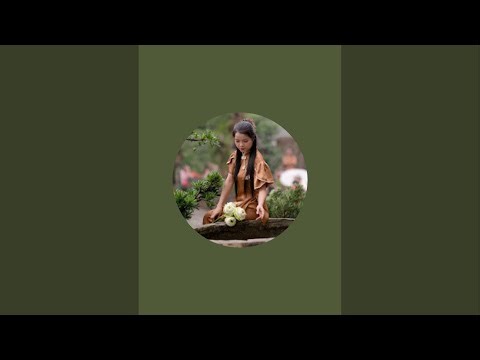 Tham quan Cafe Sinh Thái - Làng Hoa Sadec