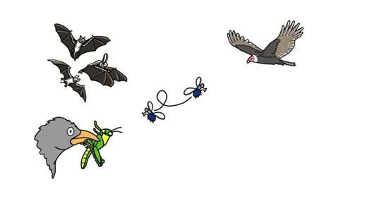 Dive into the world of migratory species with this beautifully animated video!  Discover how CMS is helping safeguard the epic journeys of wildlife across our planet and learn why these journeys are so important. 歷 From soaring birds to majestic marine life, every species has a story—let's protect their paths.  ️ Watch the video now! Convention on Biological Diversity UN Environment Programme United Nations Organizations in Bonn | Convention on Migratory Species | Facebook