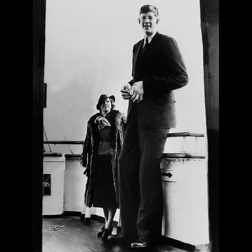1.8M views · 794 reactions | Meet Robert Wadlow, the tallest man to ever live at 8 feet 11 inches tall  | In The Know | Facebook