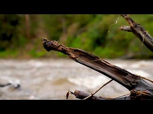 First: The Music From Oversimplified