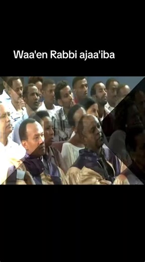 Faarfannaa Afaan Oromo: Waa'en Rabbi Ajaa'iba