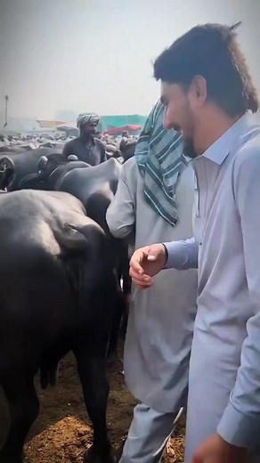 20K views · 36 reactions | Farm fun @topfans | Explore Earth | Facebook