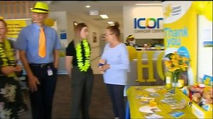 Mackay's Icon Cancer Centre has been turned into a sea of yellow to launch the Cancer Council Australia's Daffodil Day. www.7NEWS.com.au #7NEWS | 7NEWS Mackay