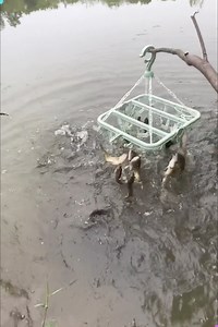 90K views · 809 reactions |  Genius Fishing Hack You’ve NEVER Seen Before! | Creative Inspiration For You | Facebook