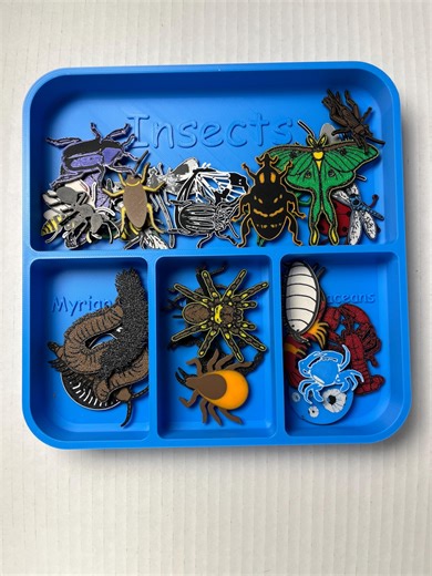 Arthropod Classification Sorting Kit, Science Learning Tray, Bug Identification Activity - Etsy Canada