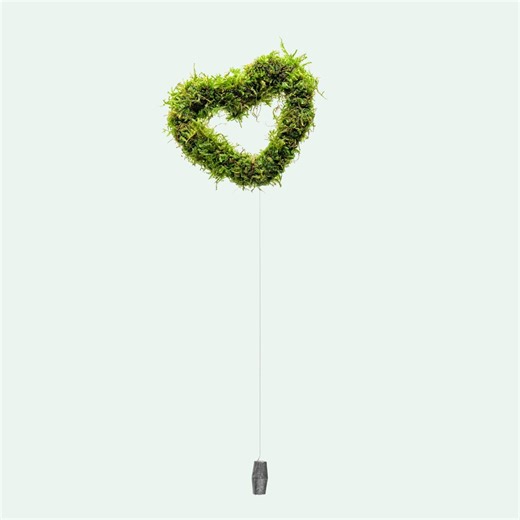 Aquarium Decor – Floating Live Moss Heart for Freshwater Aquariums and Fish Tanks - Etsy