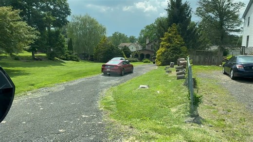 274K views · 1.3K reactions | Was sent to cover a story about a bear running through neighborhoods in Bucks County…. And this happens! | John Paul | Facebook
