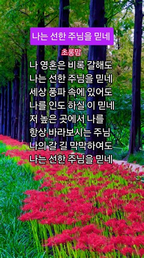 "나는 선한 주님을 믿네" #은혜의찬양#복음성가