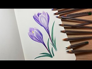 КРОКУС кольоровими олівцями / Малювання ШАФРАНУ