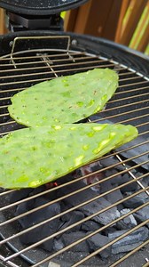 47K views · 258 reactions | Grilled Nopales (cactus paddles) Steak Tacos | GrillinFools.com | Facebook