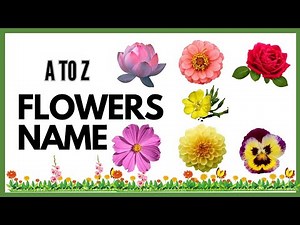 A to Z Flowers name | Flowers vocabulary