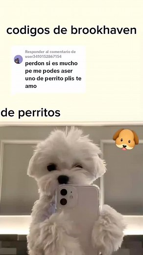 Respuesta a @user3410152867154 codigos de brookhaven de perritos