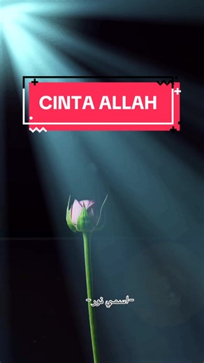 Kalaulah cinta itu adalah kata yang boleh ditulis…pasti dakwat penaku kering. Namun cinta adalah jiwa.. Jiwaku kelam tanpaNya. Cinta itu adalah haruman yang tidak pernah terbau…namun boleh dirasakan oleh hati… Cinta Allah.. #cintaallah #laukanalhub #kekasihabadi
