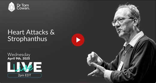 Heart Attacks & Strophanthus- Webinar from April 9th, 2025