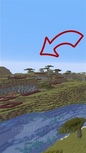 Presentation of my new project🤩​🤩​