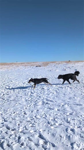 campbell clock change picks. front range