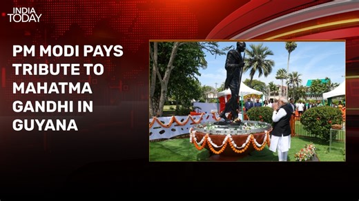 PM's day out in Guyana: Tribute to Mahatma Gandhi, meet with Indian community