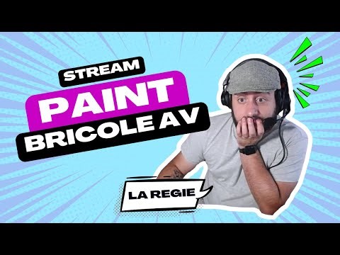 Il Stream sur Paint - Live install multicam - Best Of #2