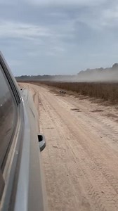 Farming in Arkansas never gets boring. | XtremeAg.farm