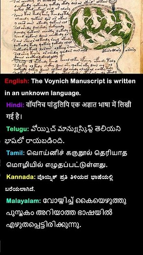 The Voynich Manuscript is written in an unknown language