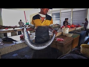 FASTEST FILLETING FISH || STUNNING CUTTING HUGE ONO FISH