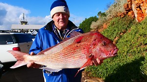 11K views · 71 reactions | Live From Mornington Pier The Snapper Going Well. Billy with this Awesome 80cm Fish Caught Today Just Now. Caught on Fresh Squid. #domintorhooks #landbasedsnapper #melbournesnapper #reedysrigs https://snapper-rigs.com/fishing-report-may/ Tackle https://snapper-rigs.com/product-category/terminal-tackle/ | Reedy's Rigs | Facebook