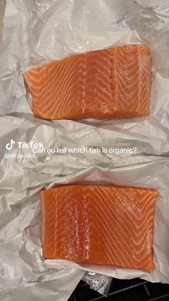 Organic vs. Dyed Salmon: Spotting the Difference