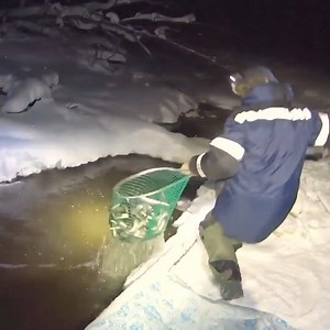 40 reactions | Top amazing catching fish in iceland. | Funny Experiments | Facebook