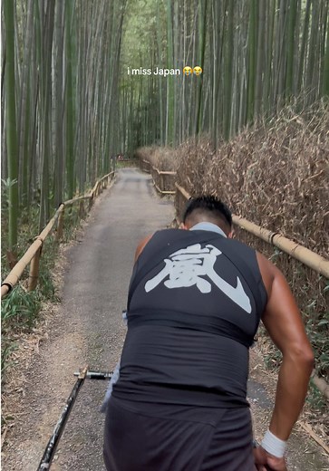Kyoto Bamboo Forest: A Traveler's Dream