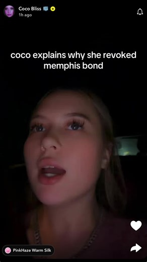 #fyp #fyppppppppppppppppppppppp #cocobliss #iheartmemphis #memphisandcoco
