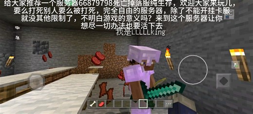 网易我的世界纯生存服务器推荐，死亡掉落服欢迎来玩儿呀