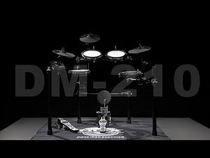 DM-210 Quick introduction
