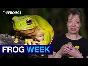 Aussies Called To Count Frogs