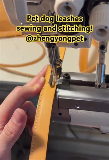 Leather pet dog leash sewing and stitching #petleash #dogleash #leatherdogleash #sewing #stitching