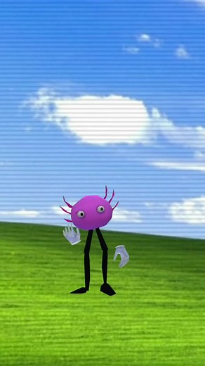 Kinitopet Q&A: Answering Your Fun Questions!